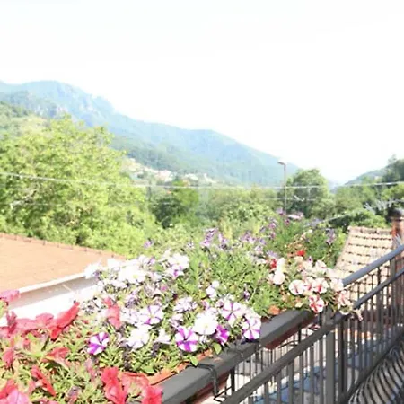 Domus Intra Montes Tramonti